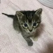 るにゃ♡遙麗♡購入前プロフ必読‼️の画像