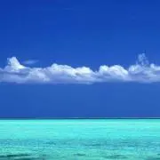 George036の画像