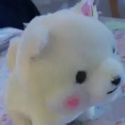 柴田ママの画像
