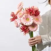 chi..t ⭐︎即購入大歓迎♪