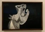 pmaldiniの画像