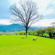 kunsanの画像
