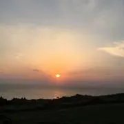 かい