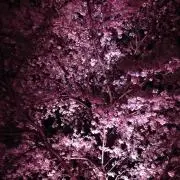 H.Uの画像