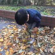 ※プロフ必読   まめこの画像