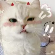 sの画像