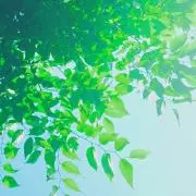 ダリ