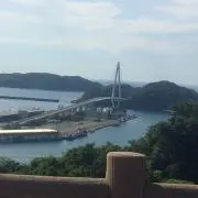 ヨッシー