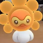 とよの画像