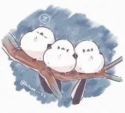 yukiy's(プロフ要確認・追記)