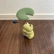 きのこの画像
