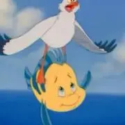 フランダー