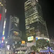 おさかなの画像