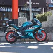 のぶりんの画像
