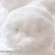 まんぼうの画像