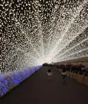 しおりの画像