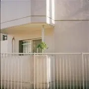 ワニのつめの画像