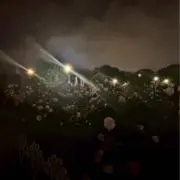ハ