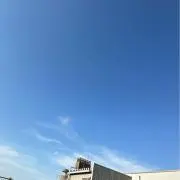 砂肝の画像
