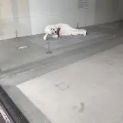 みの画像
