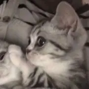 みの画像