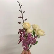 tioの画像