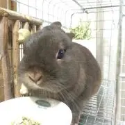 あき