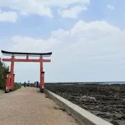 【7/27〜8/5まで発送できません】の画像