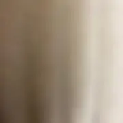 たちうお