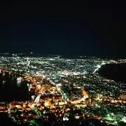 むくの画像