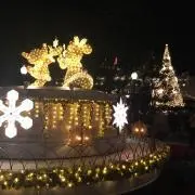 Koara39の画像
