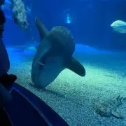 。の画像