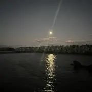まき