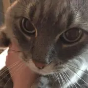 ちー