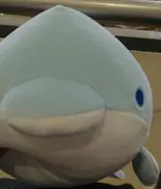 こったんの画像