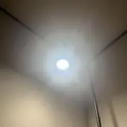 Shineの画像