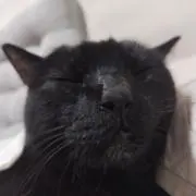 さやの画像
