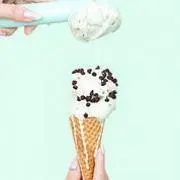 ミントの画像