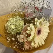 piperitaの画像