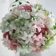 茉莉花の画像