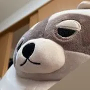 はるすけの画像