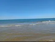 rinの画像