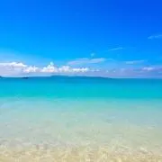 小梅の画像