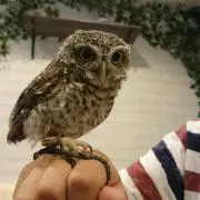 ☆シーフォマーケット☆