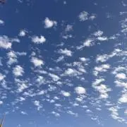 ゆさの画像