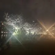 シャリオの画像