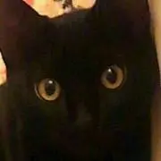 アル