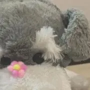 なかみ。の画像