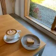 しゃあか