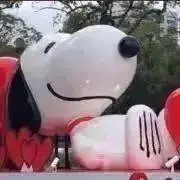 ちゃちゃの画像
